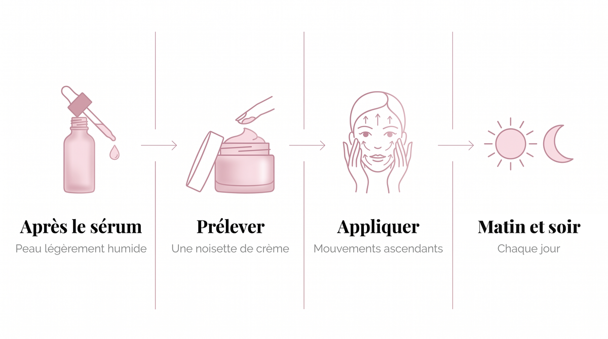 Mode d'emploi Crème Collagène PDRN : après le sérum, prélever une noisette, appliquer en mouvements ascendants, matin et soir